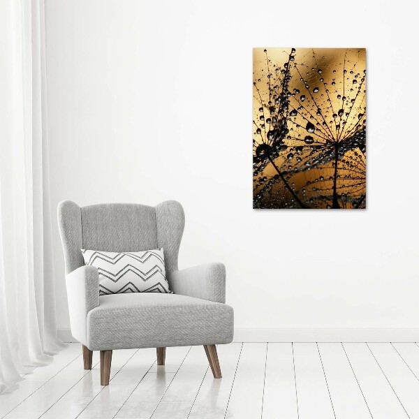 Canvas wall art Dandelion seeds