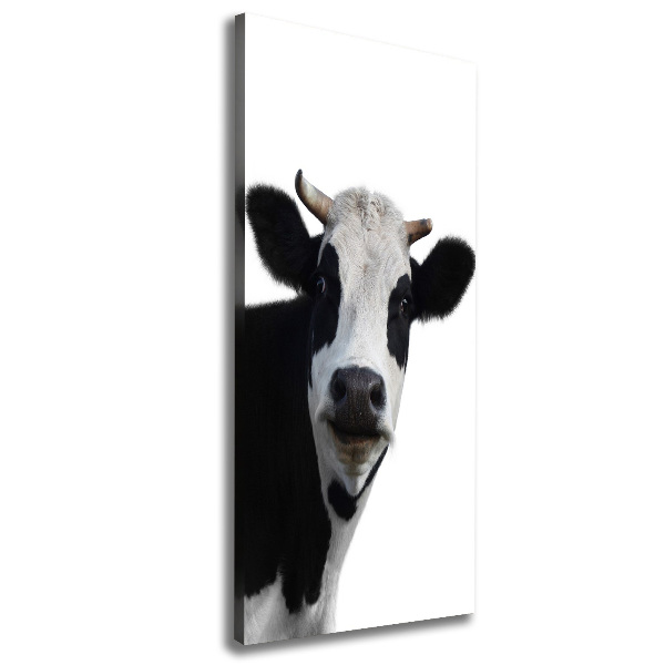 Canvas print Spotted cow