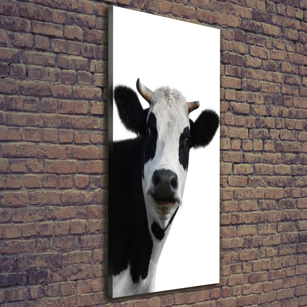 Canvas print Spotted cow