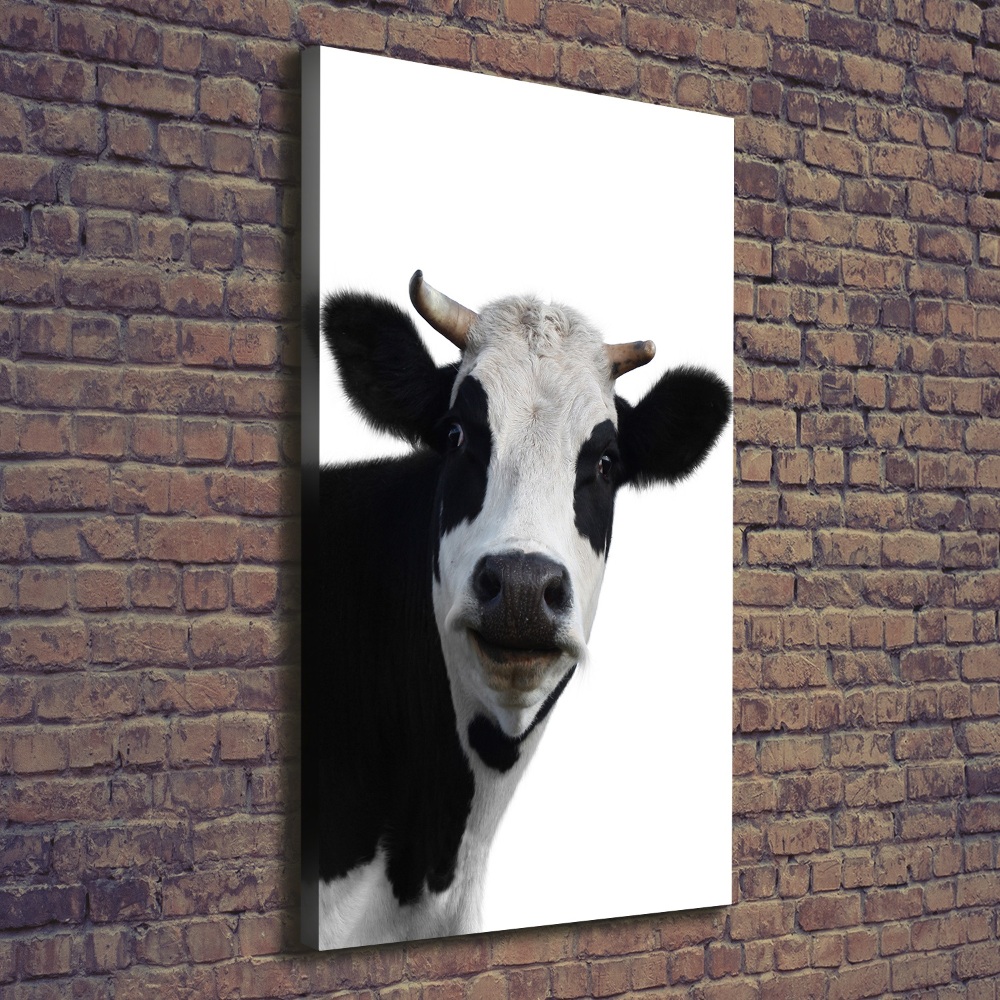 Canvas print Spotted cow