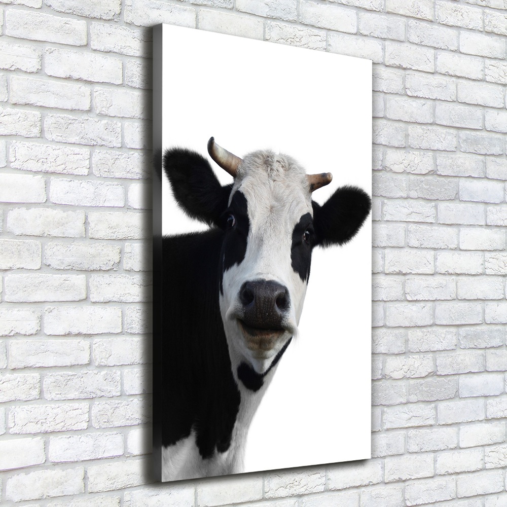 Canvas print Spotted cow