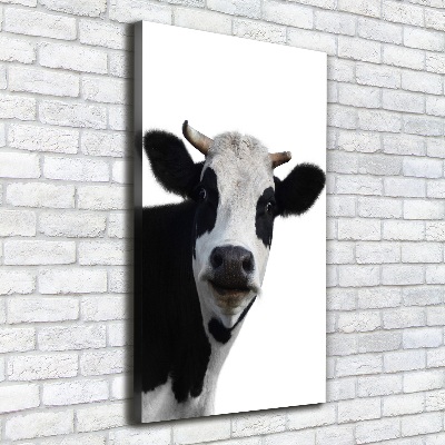 Canvas print Spotted cow