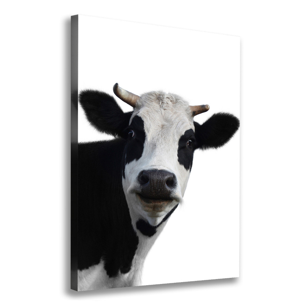 Canvas print Spotted cow