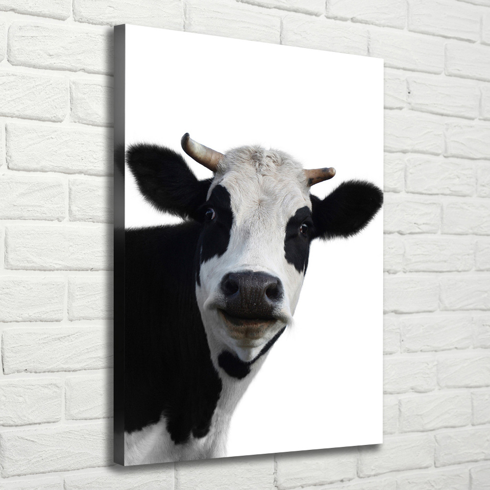 Canvas print Spotted cow