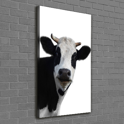 Canvas print Spotted cow