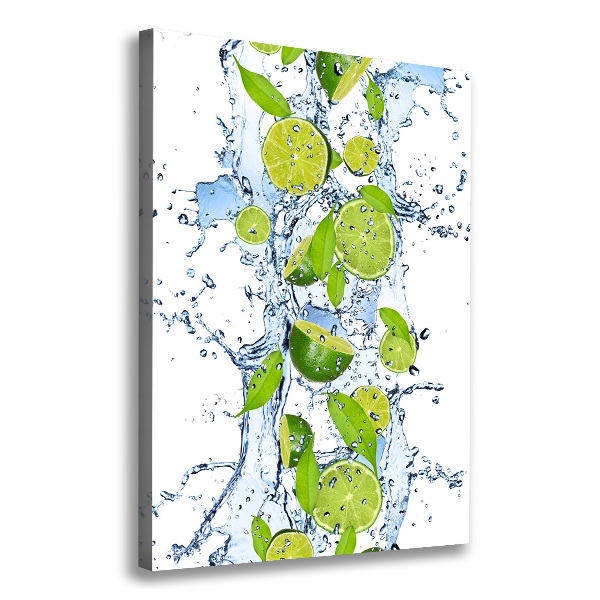 Canvas wall art Lime and water