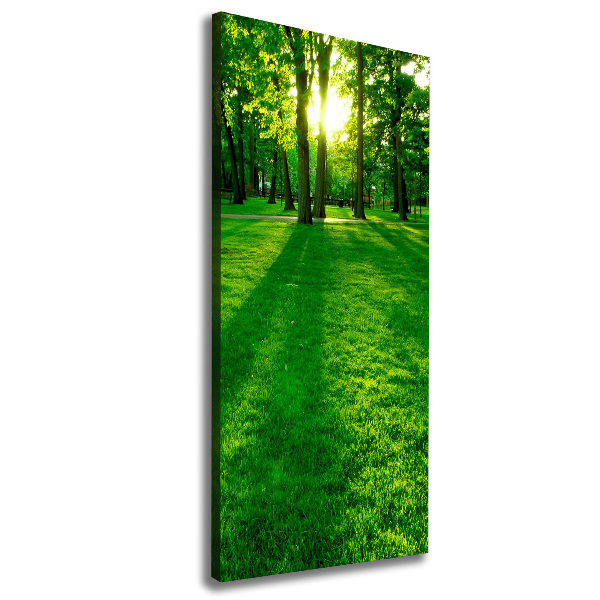 Wall art canvas The sun in the park