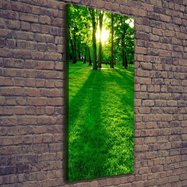 Wall art canvas The sun in the park