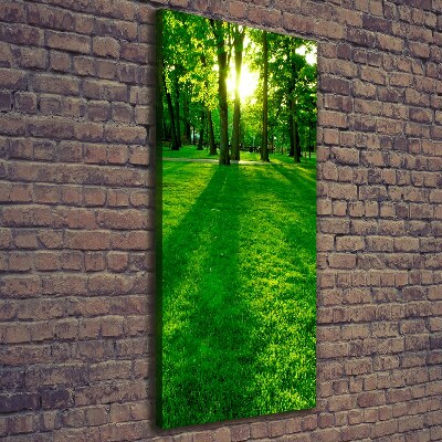 Wall art canvas The sun in the park