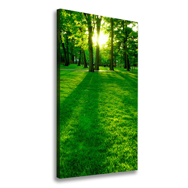 Wall art canvas The sun in the park