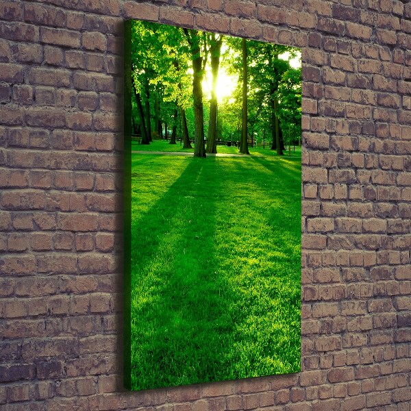 Wall art canvas The sun in the park