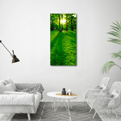 Wall art canvas The sun in the park