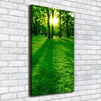 Wall art canvas The sun in the park