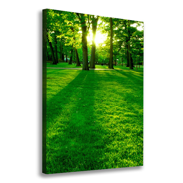 Wall art canvas The sun in the park