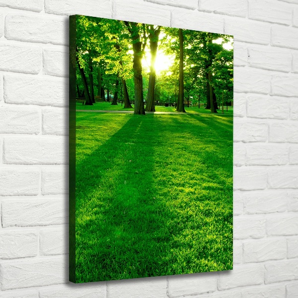 Wall art canvas The sun in the park