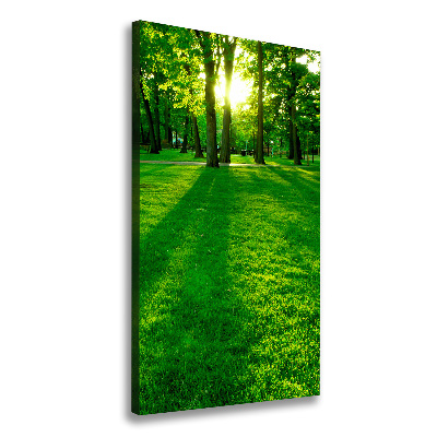 Wall art canvas The sun in the park