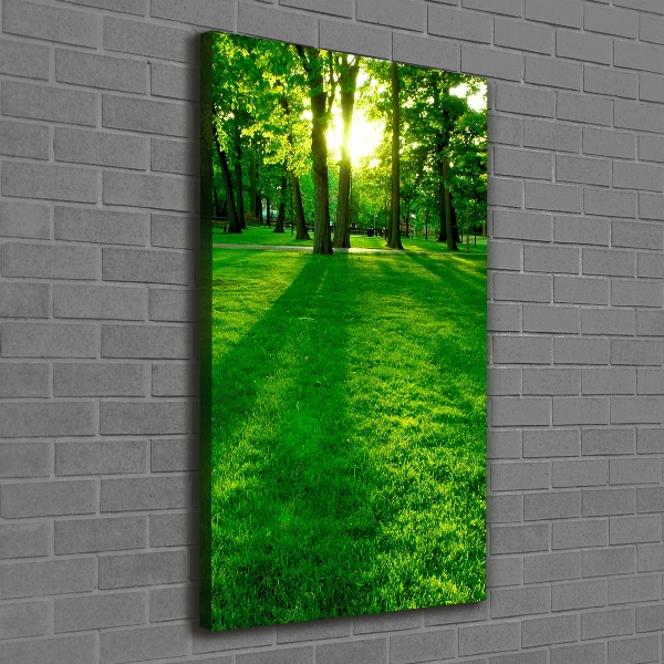 Wall art canvas The sun in the park