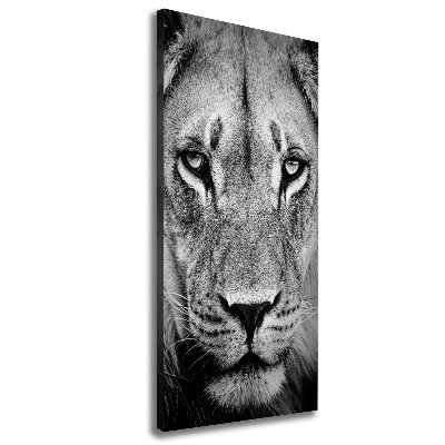 Canvas wall art Portrait of a lion