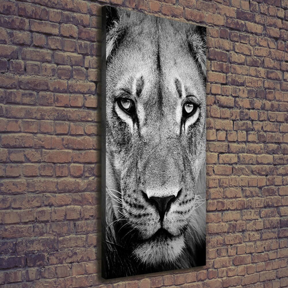 Canvas wall art Portrait of a lion