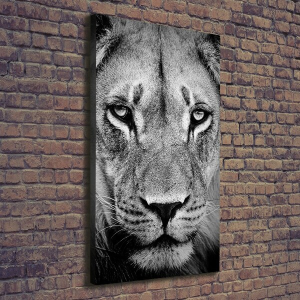 Canvas wall art Portrait of a lion