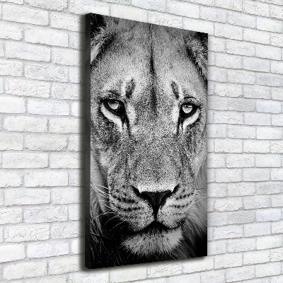 Canvas wall art Portrait of a lion