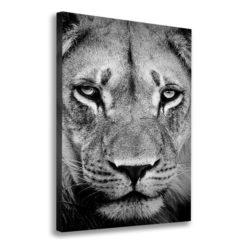 Canvas wall art Portrait of a lion