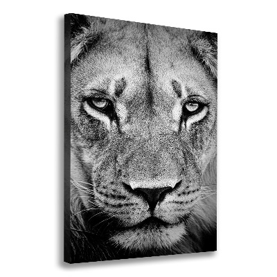 Canvas wall art Portrait of a lion