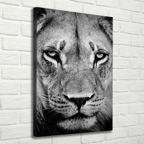 Canvas wall art Portrait of a lion