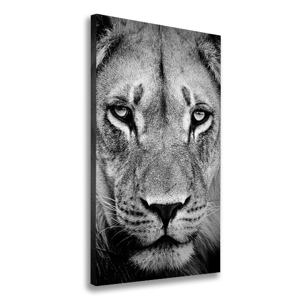 Canvas wall art Portrait of a lion