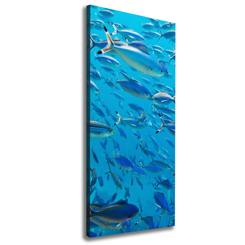 Canvas wall art Coral fish