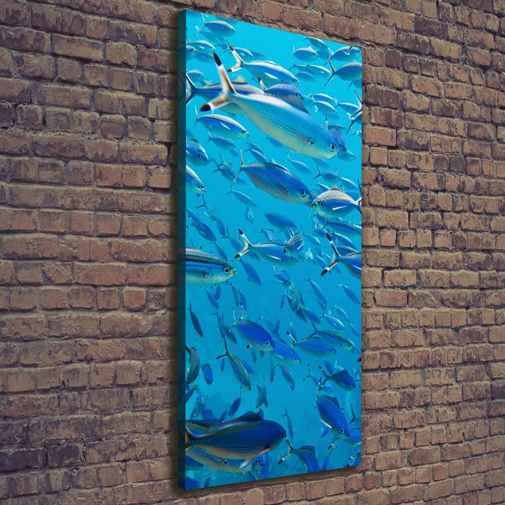 Canvas wall art Coral fish