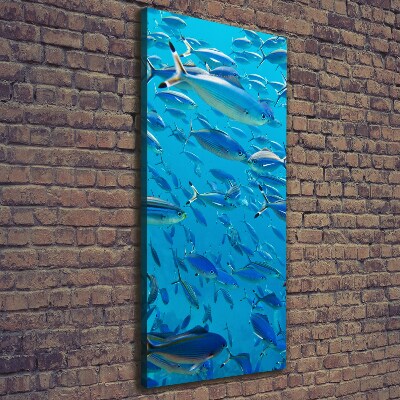 Canvas wall art Coral fish