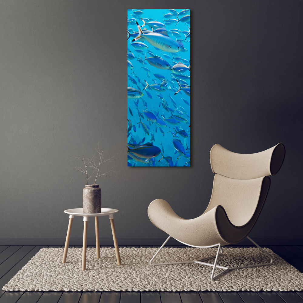 Canvas wall art Coral fish