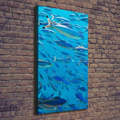 Canvas wall art Coral fish