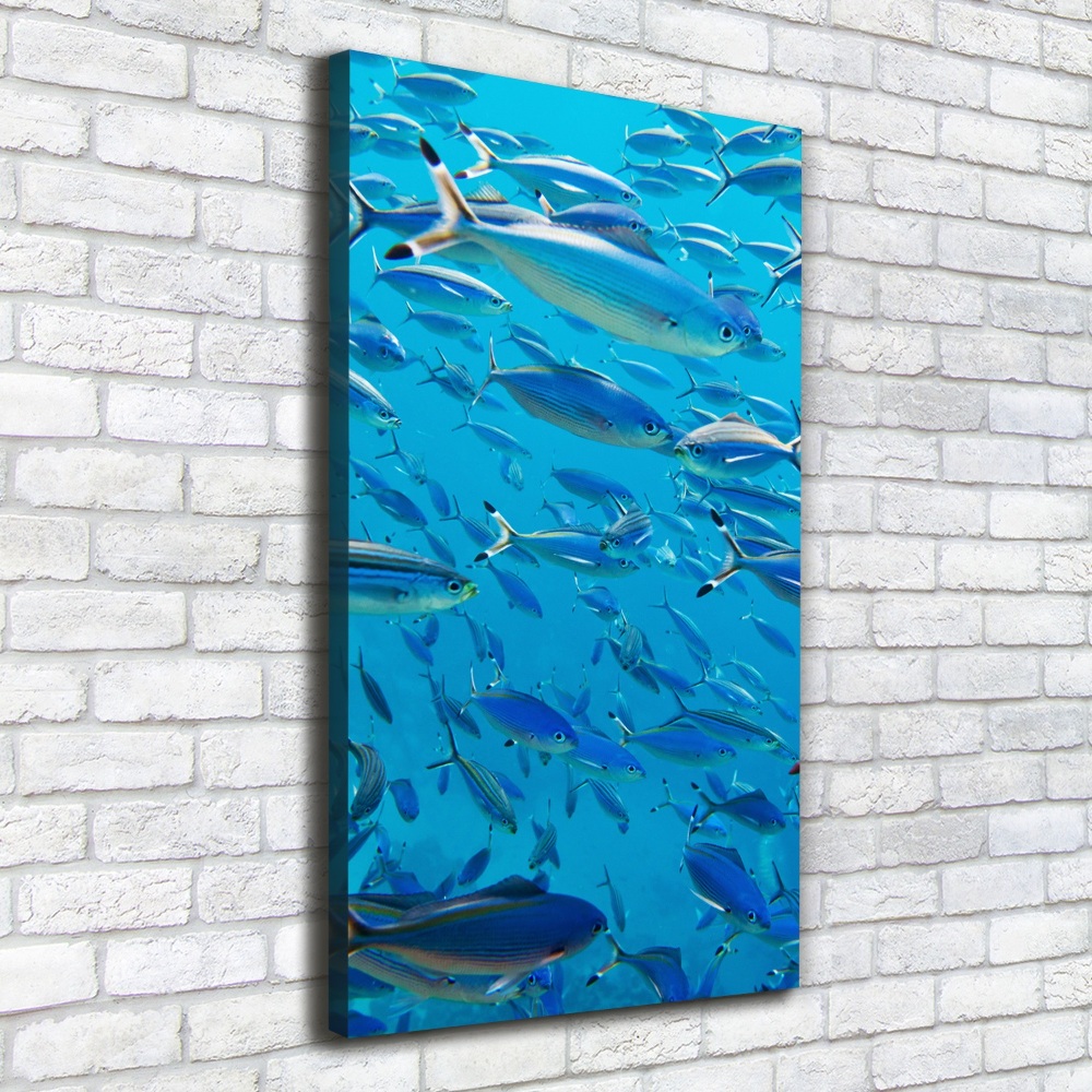 Canvas wall art Coral fish