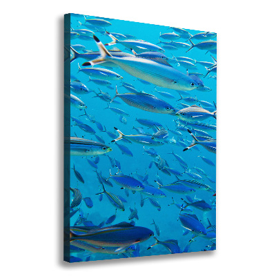 Canvas wall art Coral fish