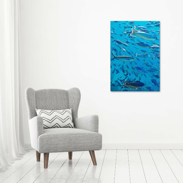 Canvas wall art Coral fish