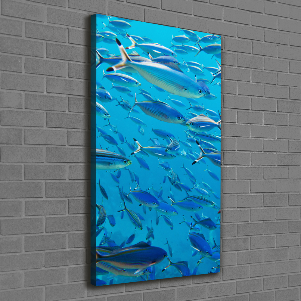 Canvas wall art Coral fish