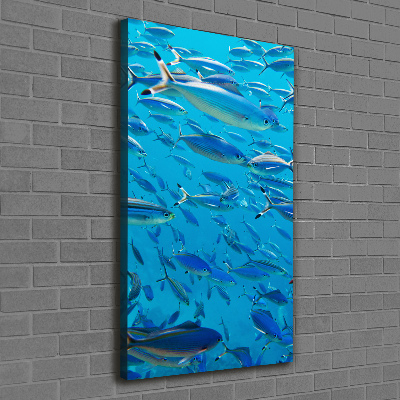 Canvas wall art Coral fish