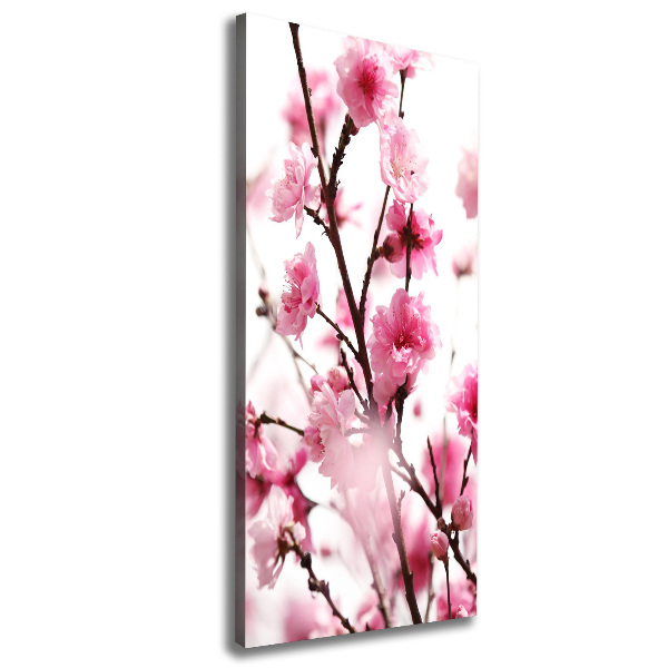 Canvas wall art Plum flowers