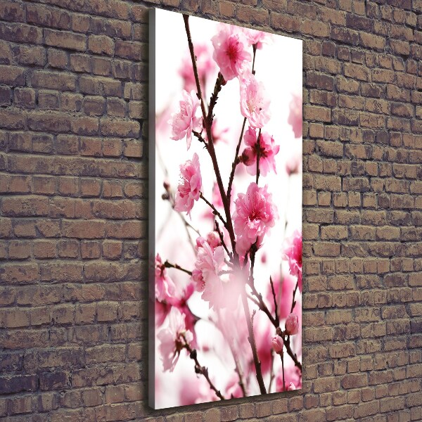 Canvas wall art Plum flowers