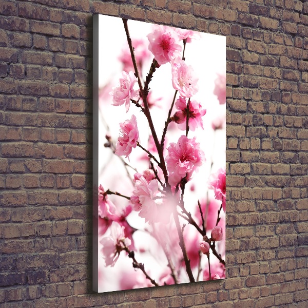 Canvas wall art Plum flowers