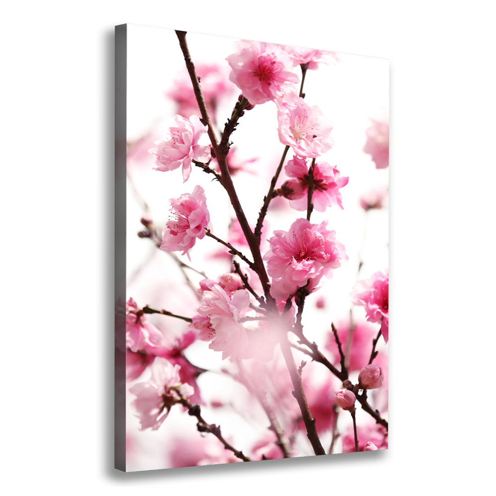 Canvas wall art Plum flowers