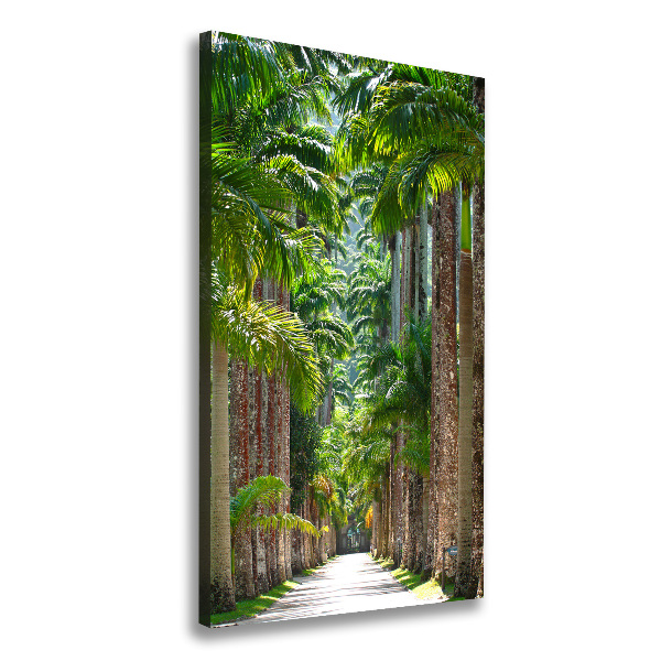 Picture canvas print Palm trees