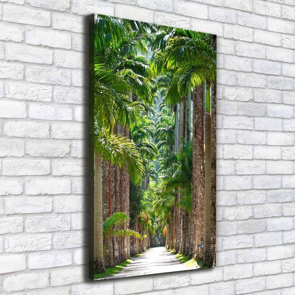 Picture canvas print Palm trees