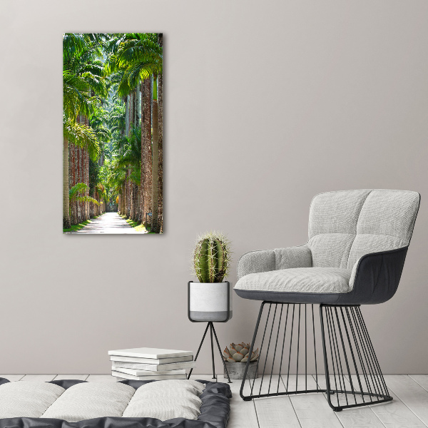 Picture canvas print Palm trees