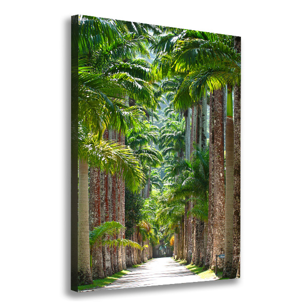 Picture canvas print Palm trees