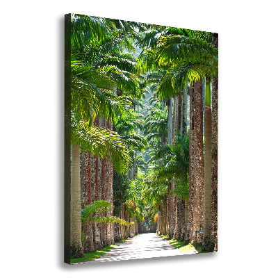 Picture canvas print Palm trees