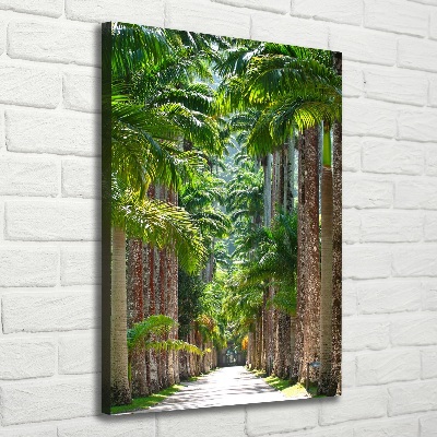 Picture canvas print Palm trees