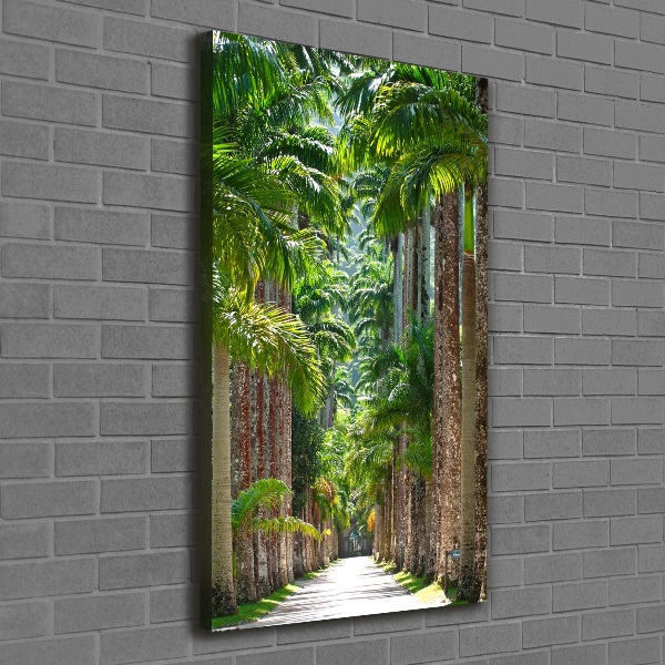 Picture canvas print Palm trees